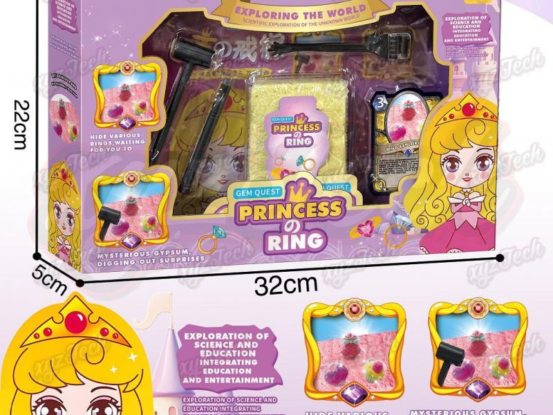 Archaeology of the Princess Ring